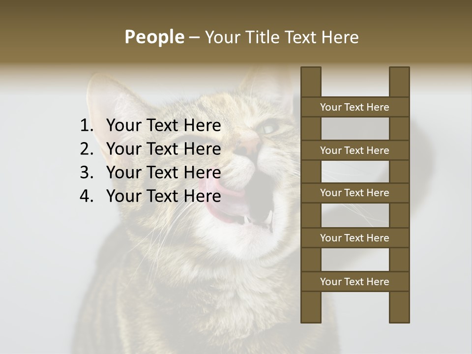 Friendly Lick Friendship PowerPoint Template