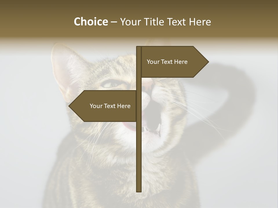 Friendly Lick Friendship PowerPoint Template