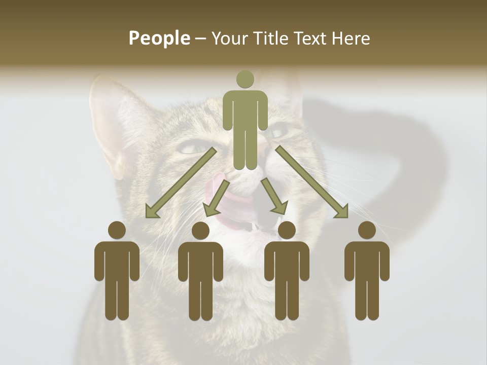 Friendly Lick Friendship PowerPoint Template