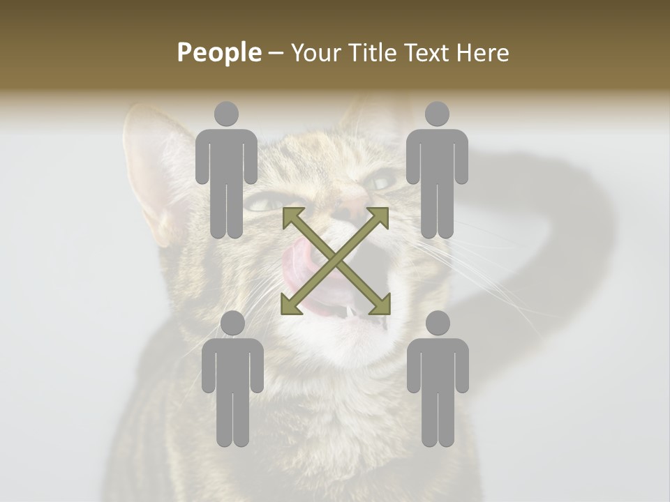 Friendly Lick Friendship PowerPoint Template