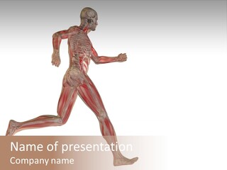 Anatomy Skeleton Concept PowerPoint Template