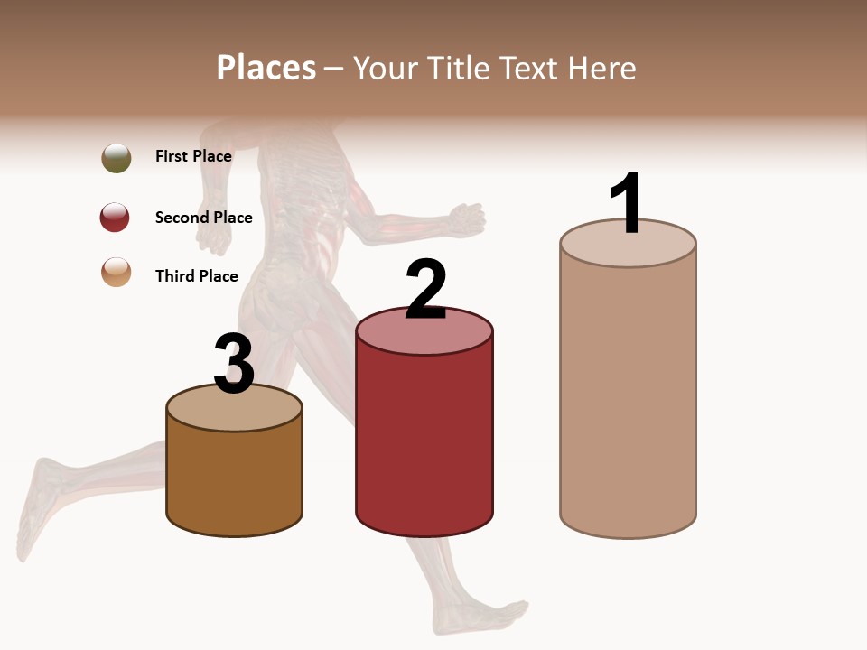 Anatomy Skeleton Concept PowerPoint Template