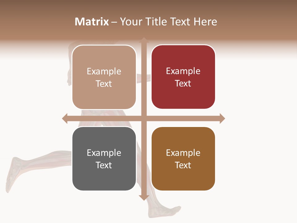 Anatomy Skeleton Concept PowerPoint Template