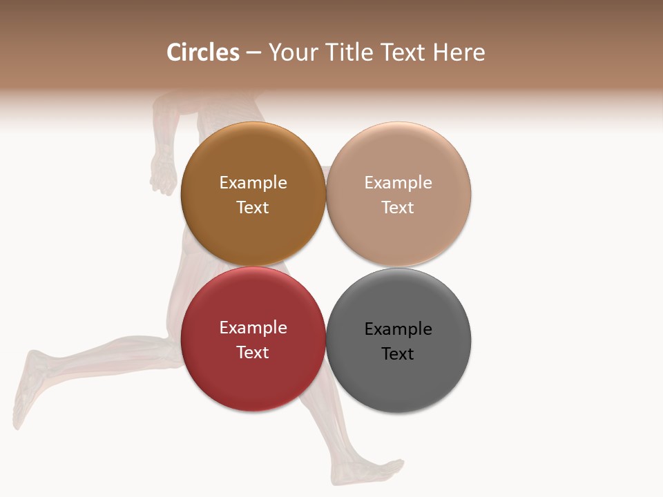 Anatomy Skeleton Concept PowerPoint Template