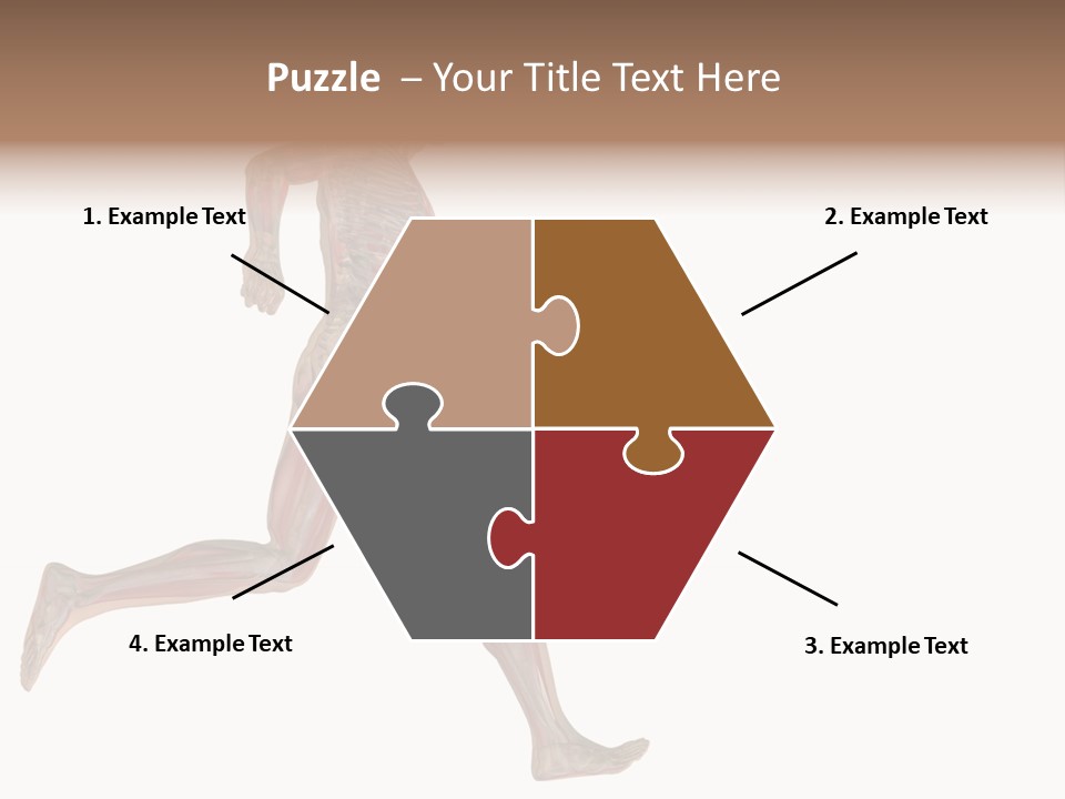 Anatomy Skeleton Concept PowerPoint Template