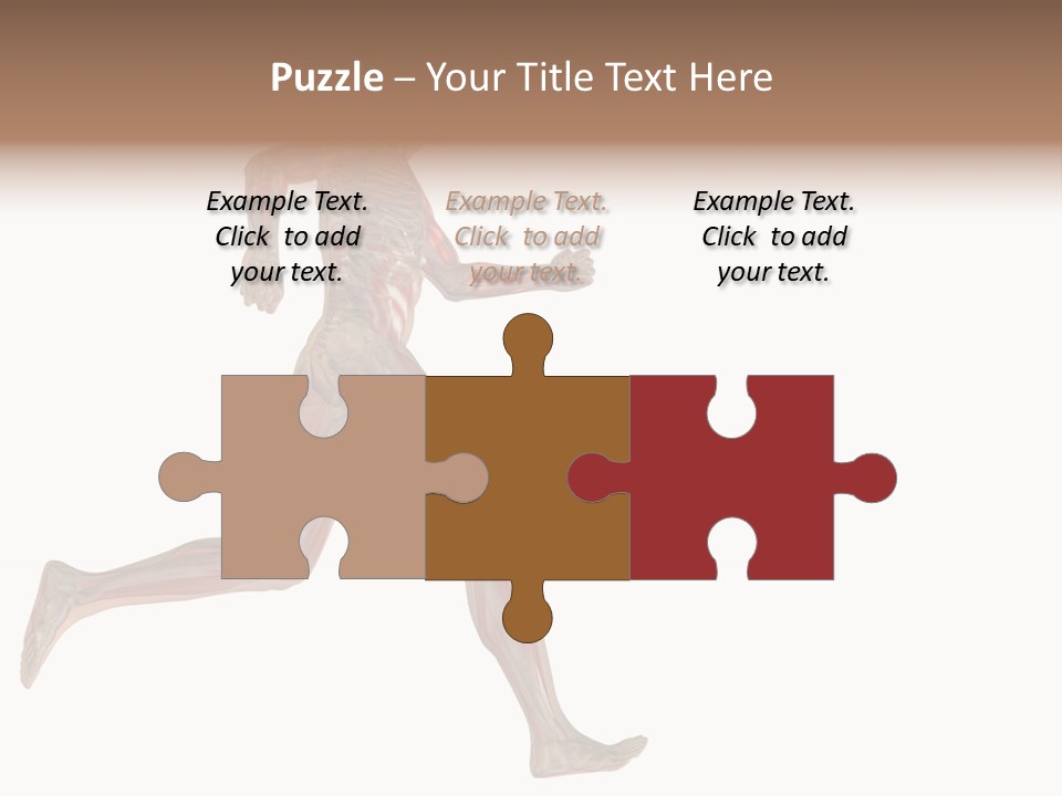 Anatomy Skeleton Concept PowerPoint Template