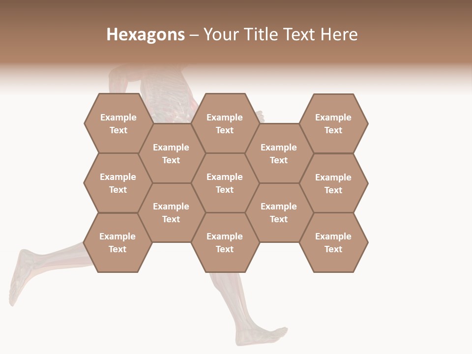 Anatomy Skeleton Concept PowerPoint Template