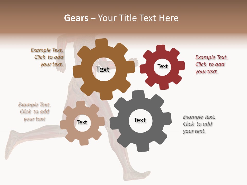 Anatomy Skeleton Concept PowerPoint Template