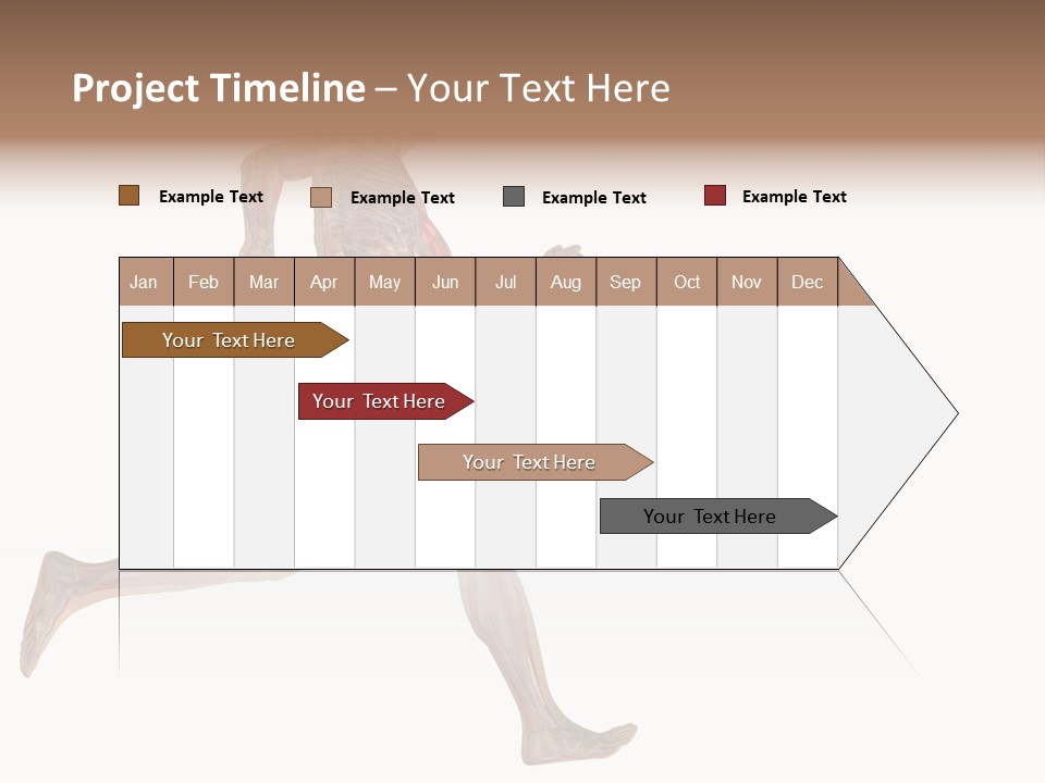 Anatomy Skeleton Concept PowerPoint Template