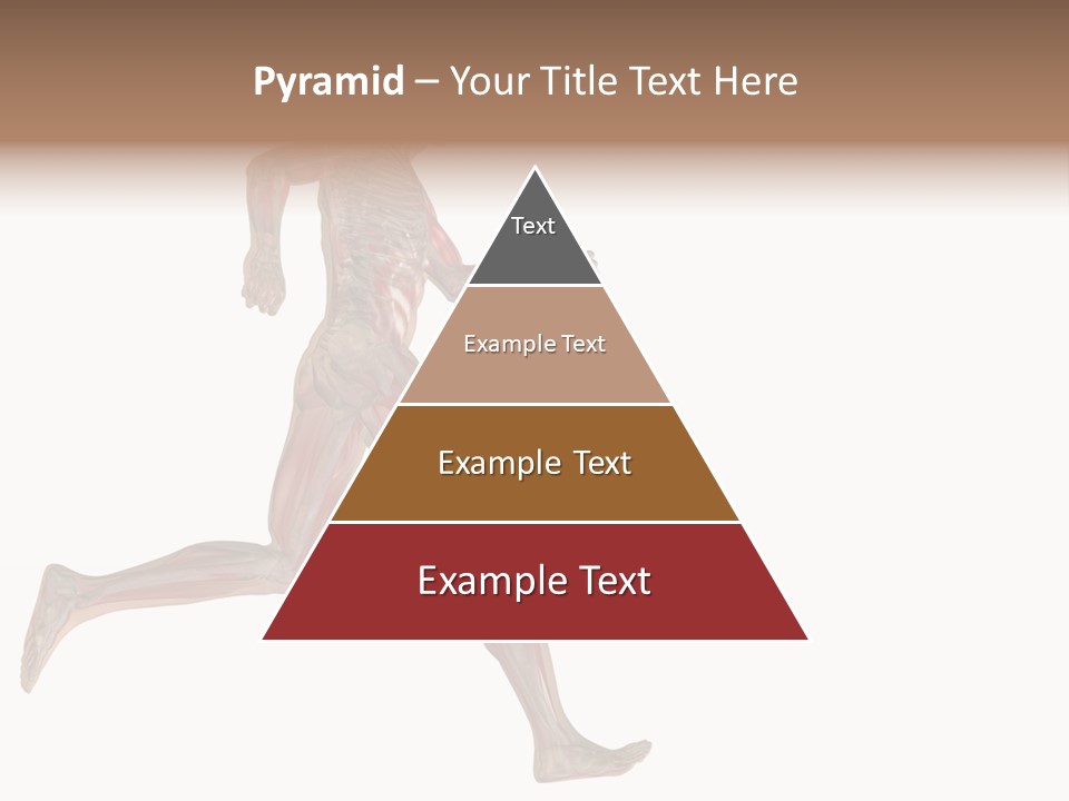 Anatomy Skeleton Concept PowerPoint Template