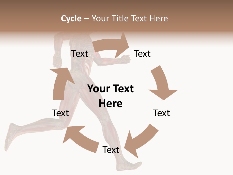 Anatomy Skeleton Concept PowerPoint Template