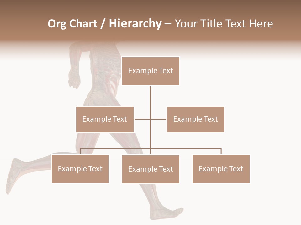 Anatomy Skeleton Concept PowerPoint Template