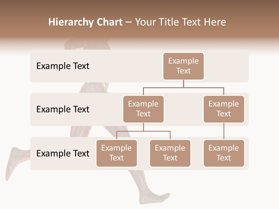 Anatomy Skeleton Concept PowerPoint Template