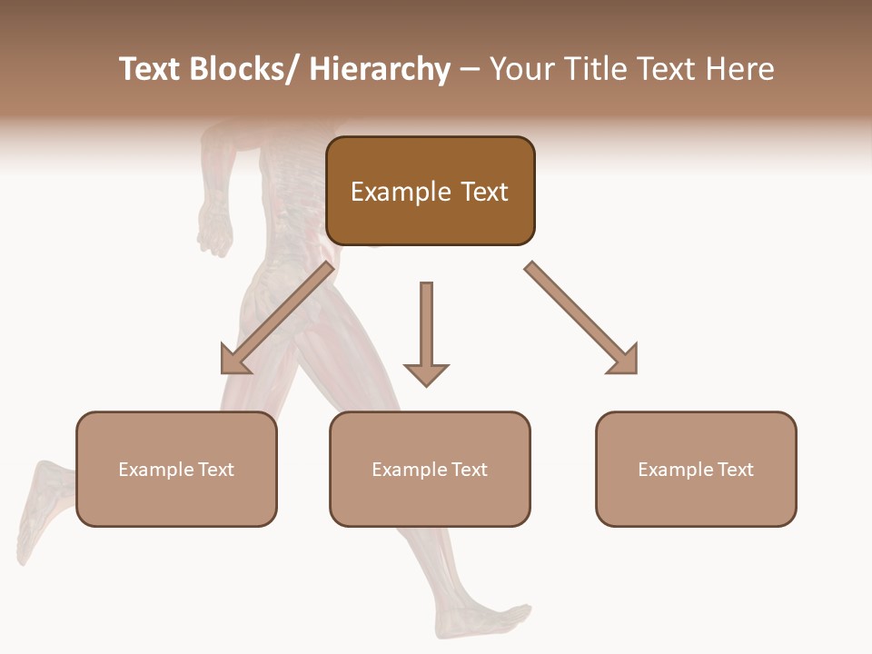 Anatomy Skeleton Concept PowerPoint Template
