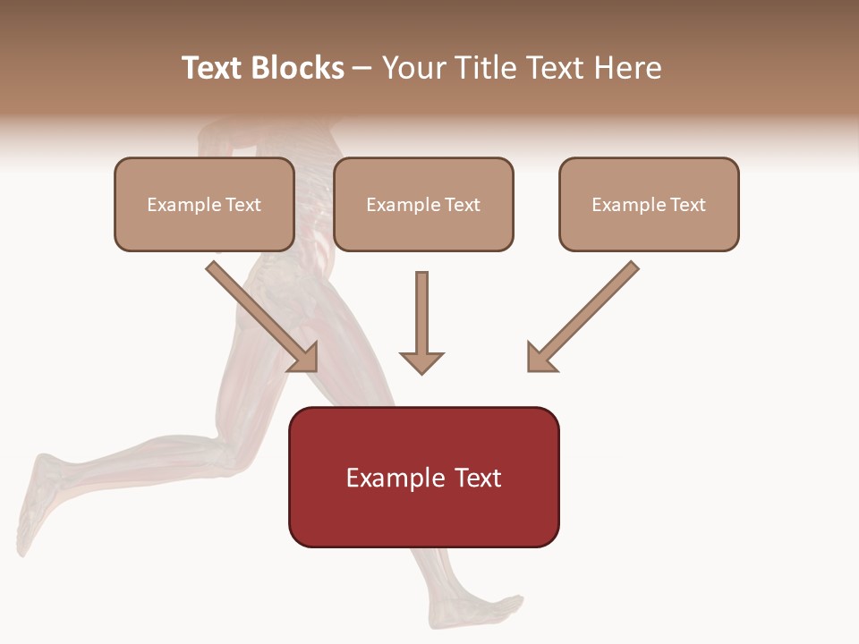 Anatomy Skeleton Concept PowerPoint Template