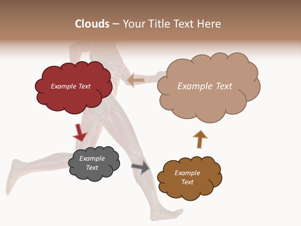 Anatomy Skeleton Concept PowerPoint Template
