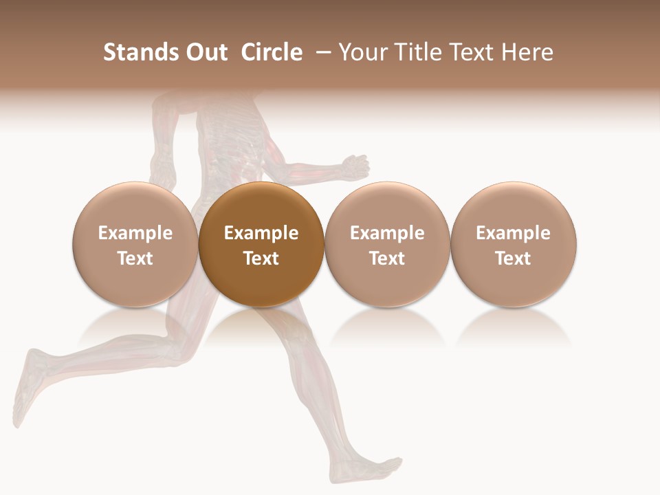 Anatomy Skeleton Concept PowerPoint Template