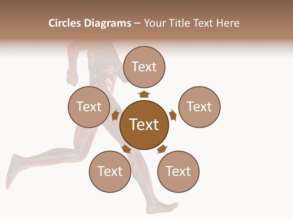 Anatomy Skeleton Concept PowerPoint Template