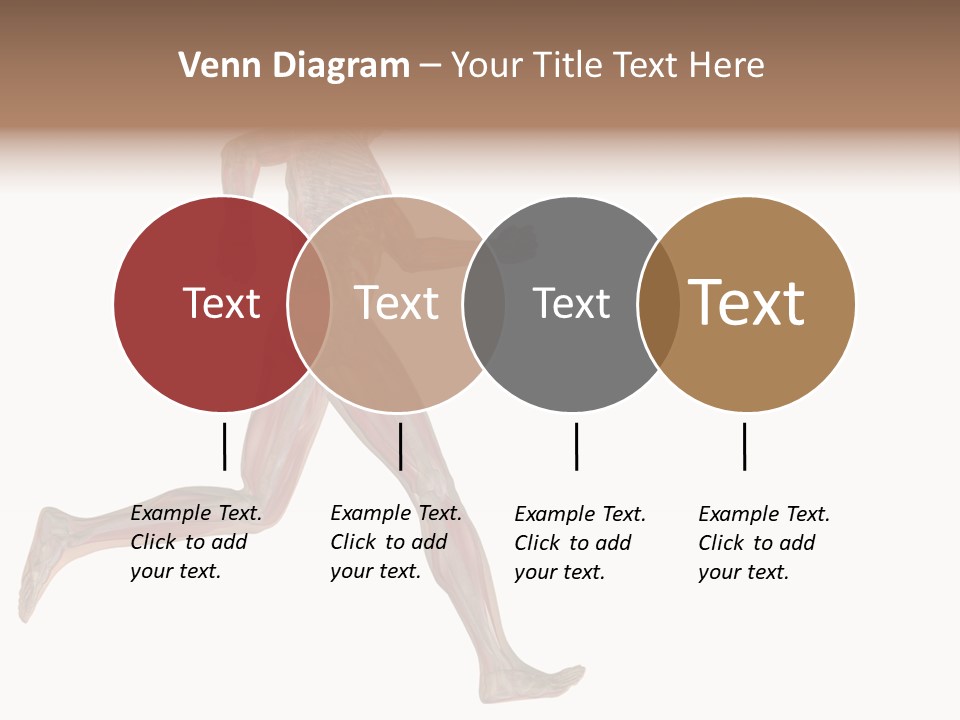 Anatomy Skeleton Concept PowerPoint Template