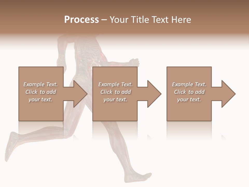 Anatomy Skeleton Concept PowerPoint Template
