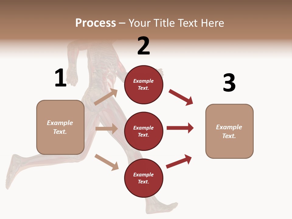 Anatomy Skeleton Concept PowerPoint Template