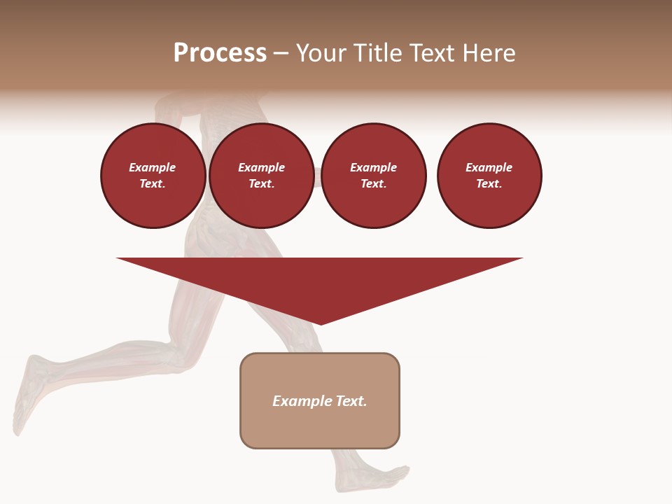 Anatomy Skeleton Concept PowerPoint Template