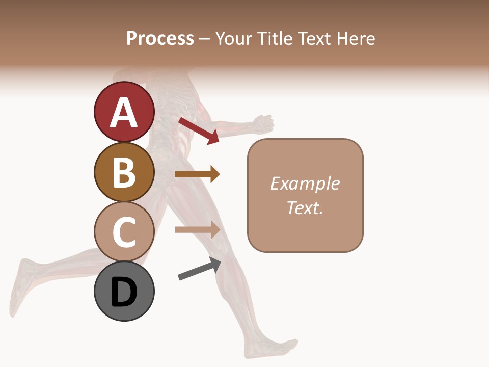 Anatomy Skeleton Concept PowerPoint Template