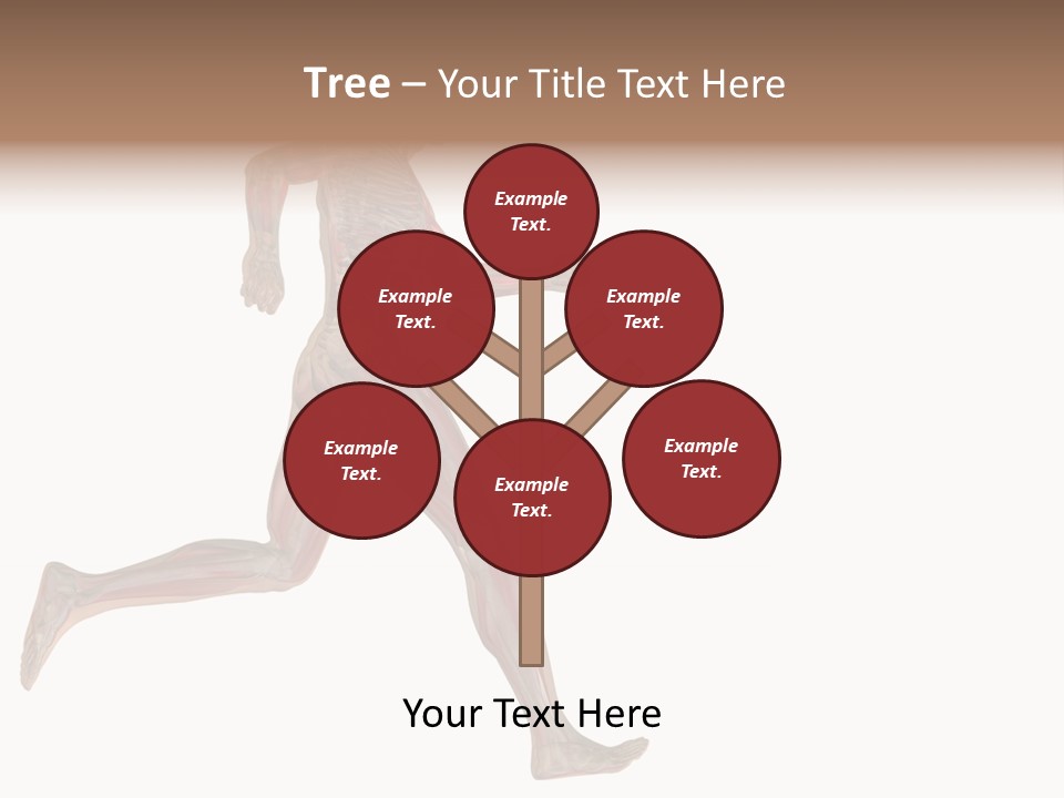 Anatomy Skeleton Concept PowerPoint Template