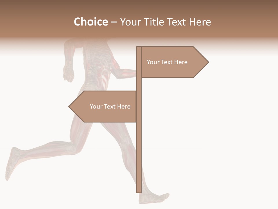 Anatomy Skeleton Concept PowerPoint Template