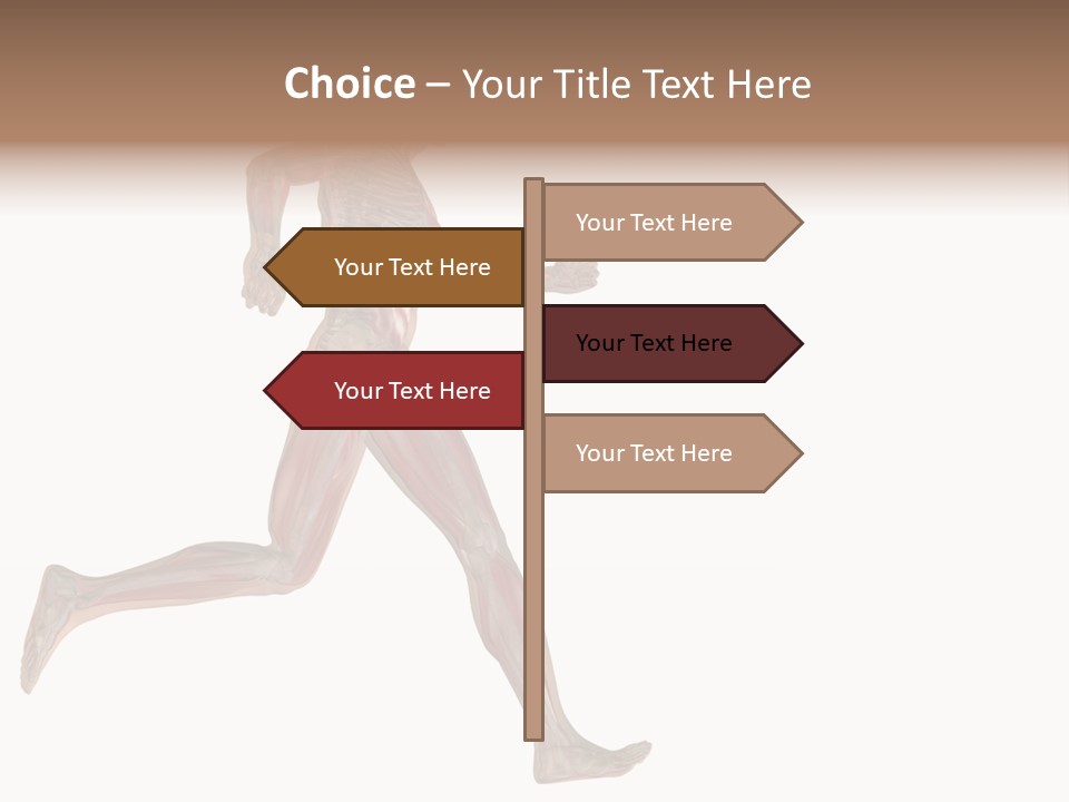 Anatomy Skeleton Concept PowerPoint Template