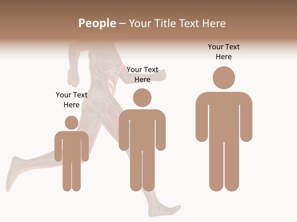 Anatomy Skeleton Concept PowerPoint Template