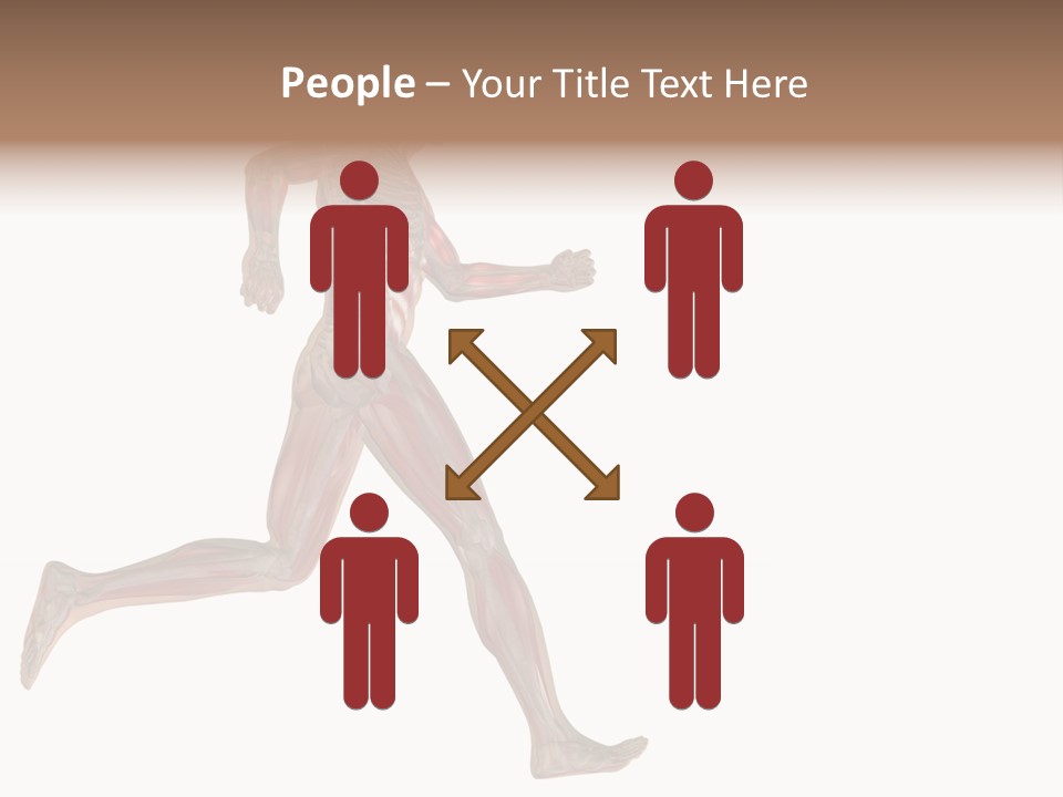 Anatomy Skeleton Concept PowerPoint Template