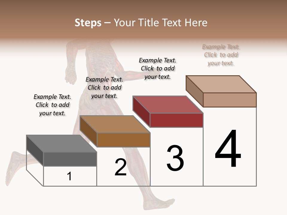 Anatomy Skeleton Concept PowerPoint Template