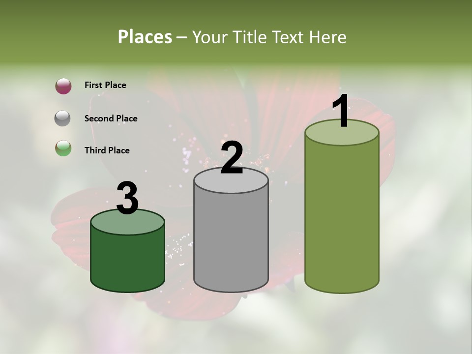 Red Flower Atrosanguineus Asteraceae PowerPoint Template