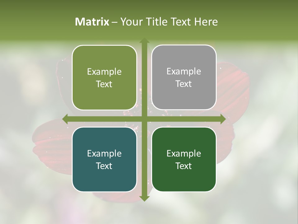 Red Flower Atrosanguineus Asteraceae PowerPoint Template