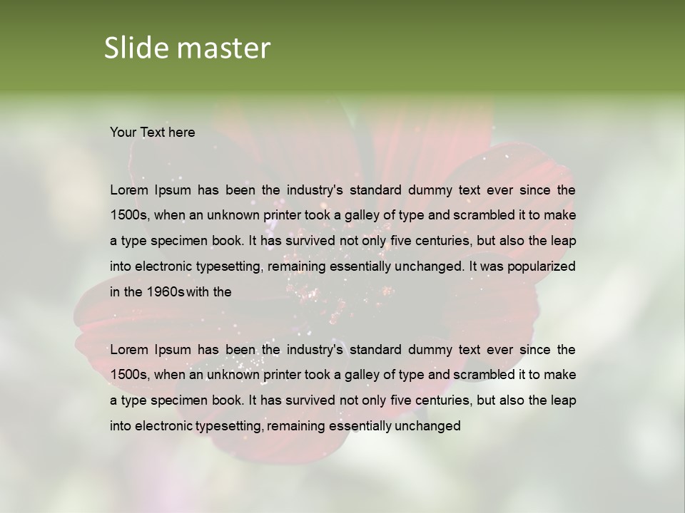 Red Flower Atrosanguineus Asteraceae PowerPoint Template