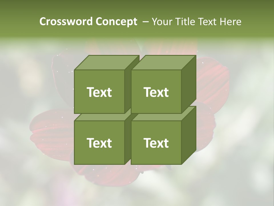 Red Flower Atrosanguineus Asteraceae PowerPoint Template