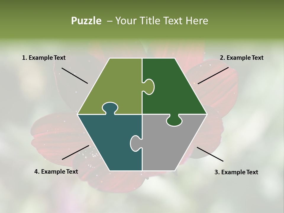 Red Flower Atrosanguineus Asteraceae PowerPoint Template