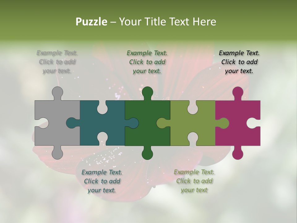 Red Flower Atrosanguineus Asteraceae PowerPoint Template