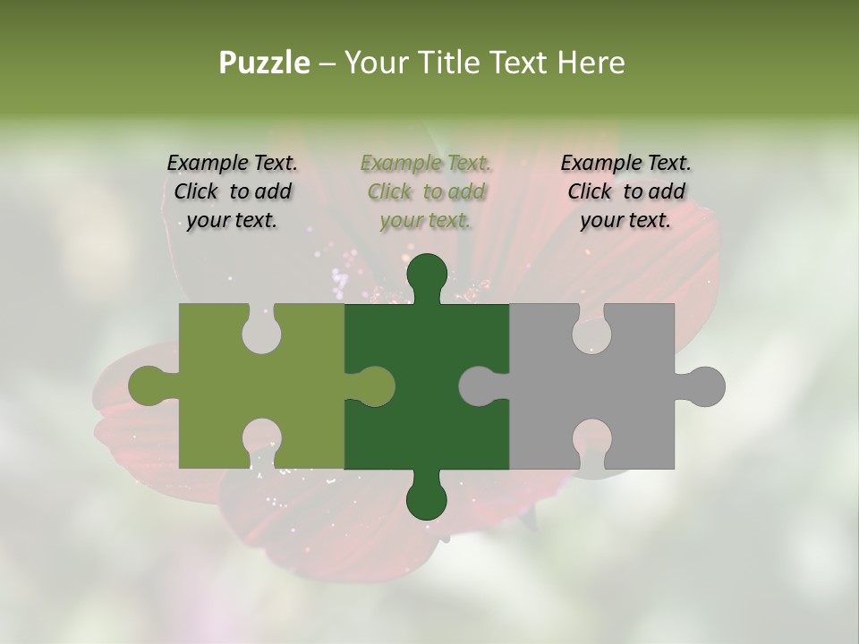 Red Flower Atrosanguineus Asteraceae PowerPoint Template