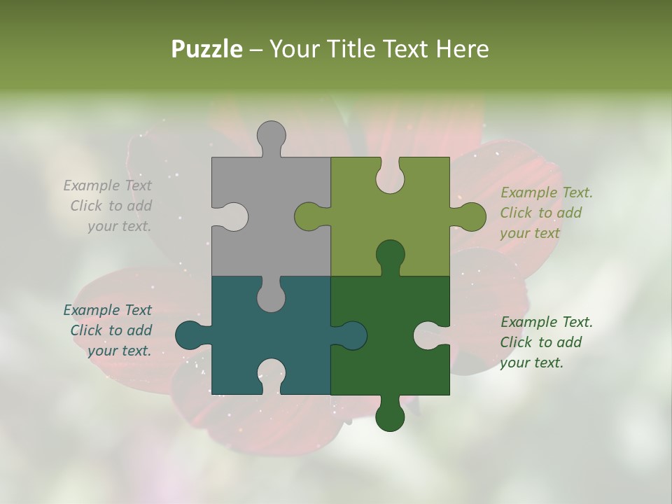 Red Flower Atrosanguineus Asteraceae PowerPoint Template