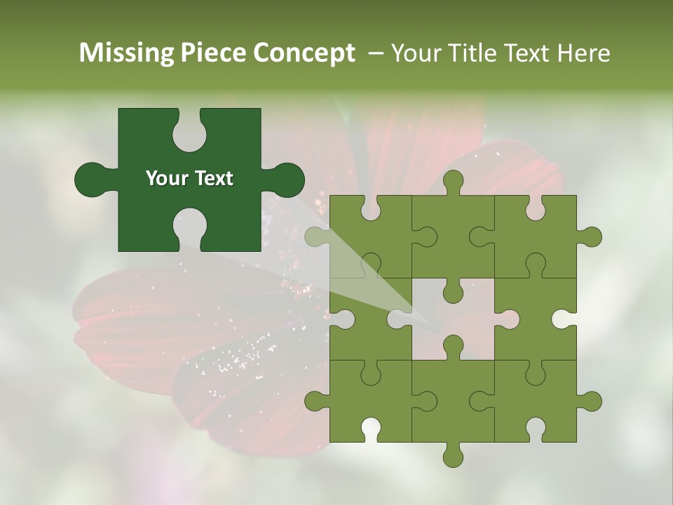 Red Flower Atrosanguineus Asteraceae PowerPoint Template