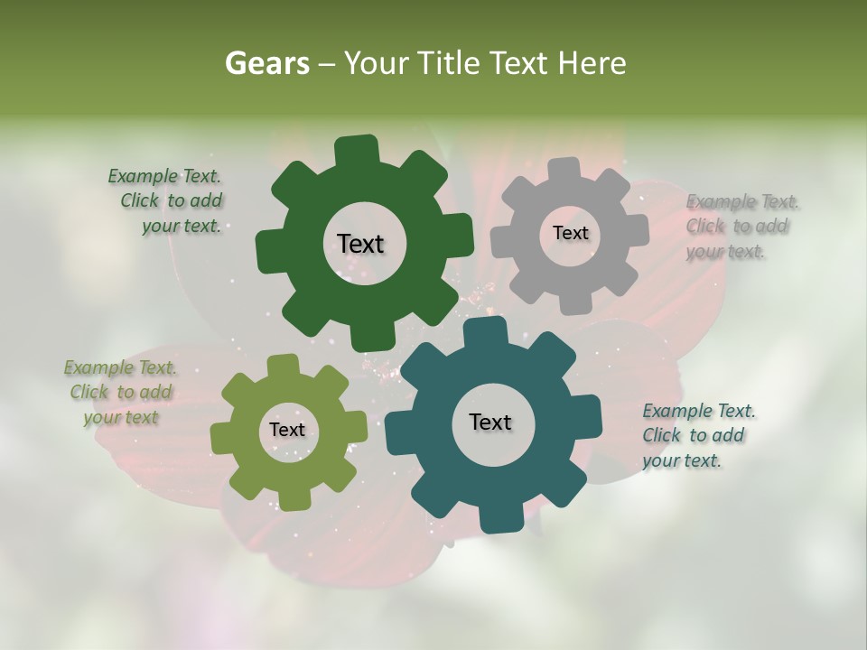 Red Flower Atrosanguineus Asteraceae PowerPoint Template