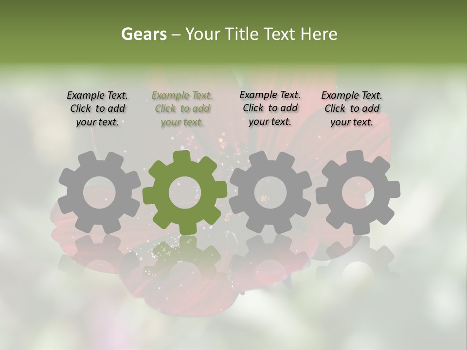 Red Flower Atrosanguineus Asteraceae PowerPoint Template