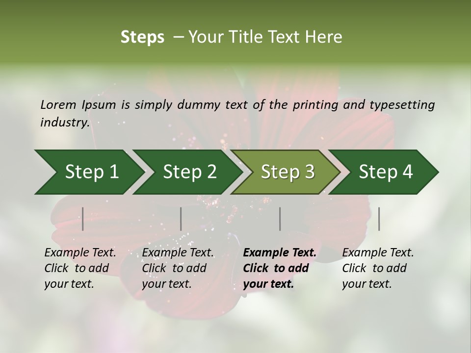 Red Flower Atrosanguineus Asteraceae PowerPoint Template