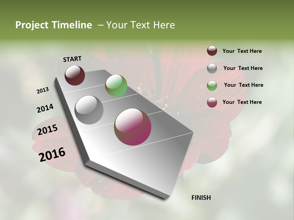 Red Flower Atrosanguineus Asteraceae PowerPoint Template