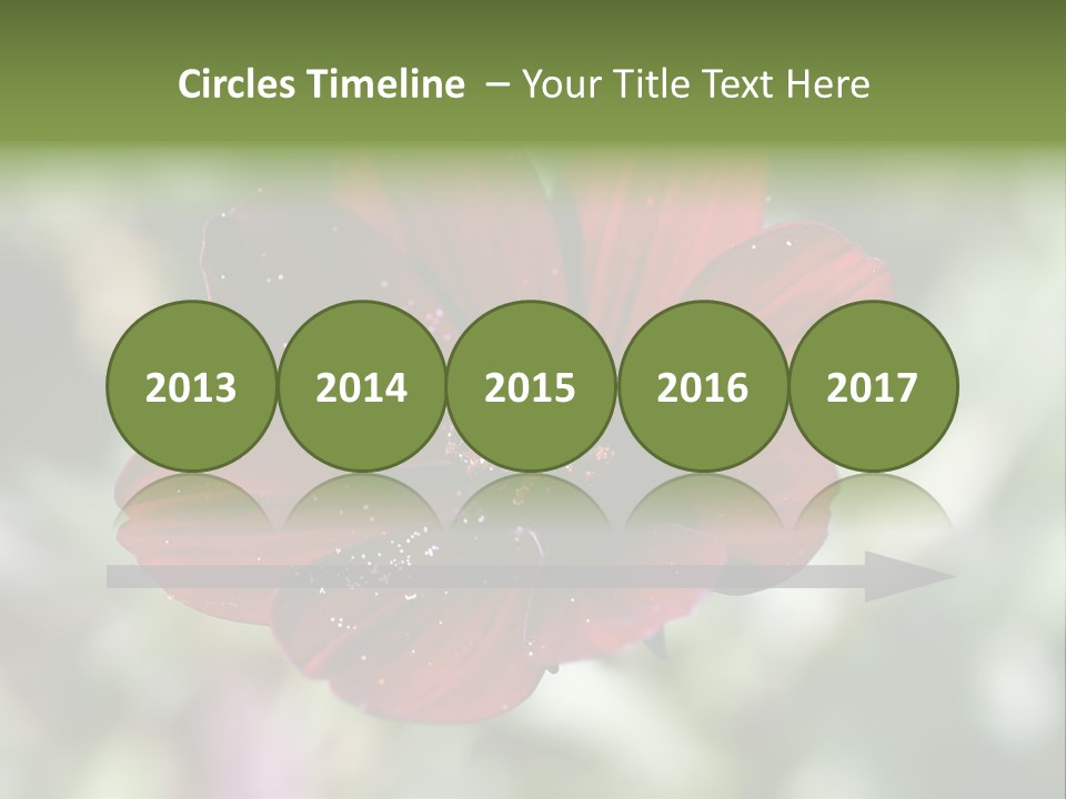 Red Flower Atrosanguineus Asteraceae PowerPoint Template