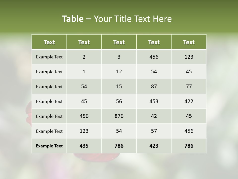 Red Flower Atrosanguineus Asteraceae PowerPoint Template