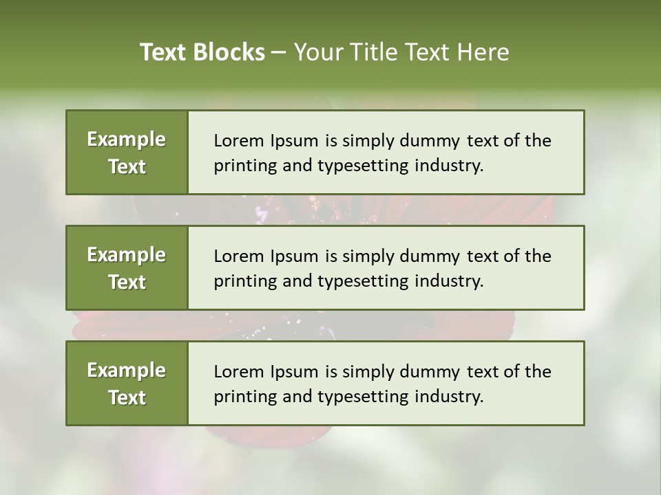 Red Flower Atrosanguineus Asteraceae PowerPoint Template