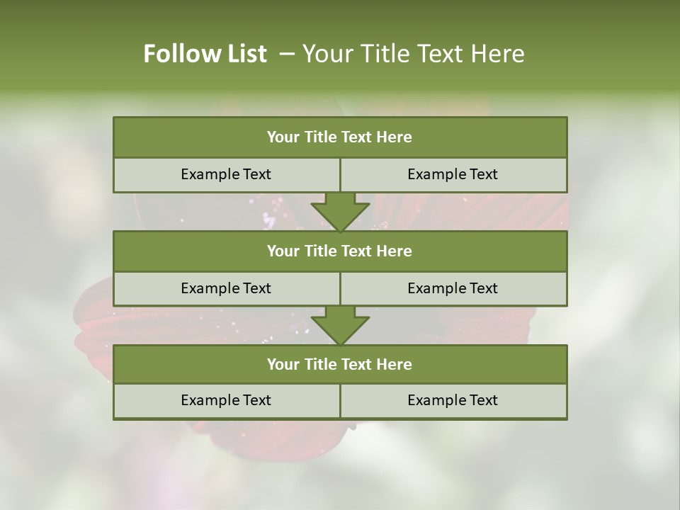Red Flower Atrosanguineus Asteraceae PowerPoint Template